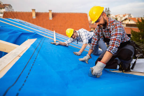 Best Roof Repair Services  in Albers, IL