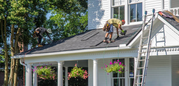 Best Roof Maintenance Services  in Albers, IL